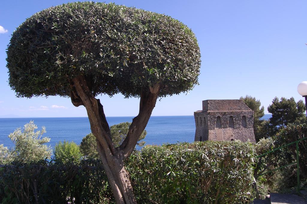Torre Turbolo Apartments Massa Lubrense Eksteriør billede